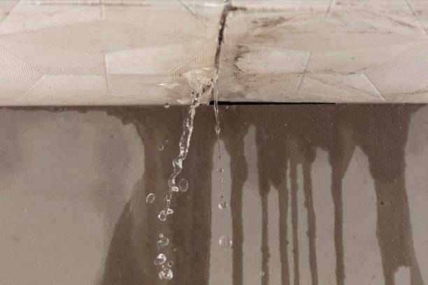 Professional Water Damage Repair technician working in Hartselle, AL